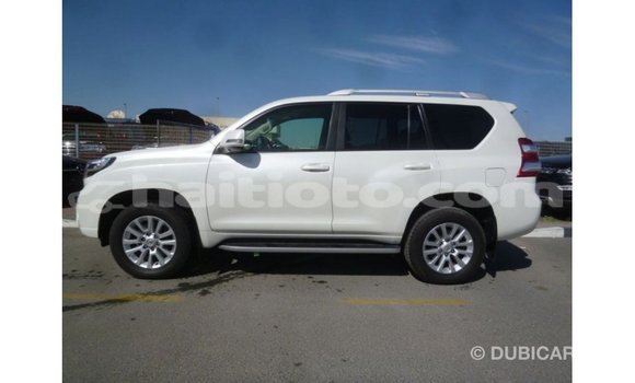 Acheter Import Voiture Toyota Prado Blanc à Import - Dubai, Artibonite Acheter Import Voiture Toyota Prado Blanc à Import - Dubai, Artibonite
