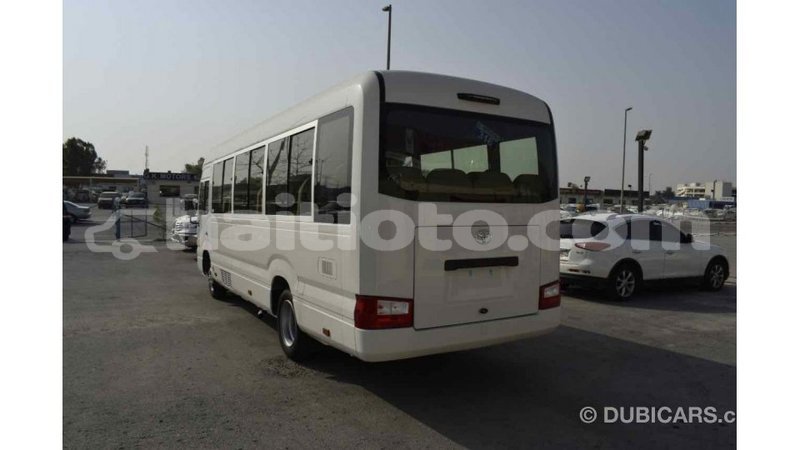 Big with watermark 92a01530 5a19 45c4 820f b06011b76c8d