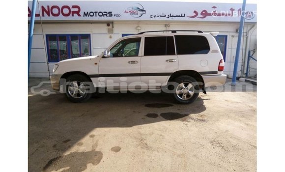 Acheter Import Voiture Toyota Land Cruiser Blanc à Import - Dubai, Artibonite Acheter Import Voiture Toyota Land Cruiser Blanc à Import - Dubai, Artibonite