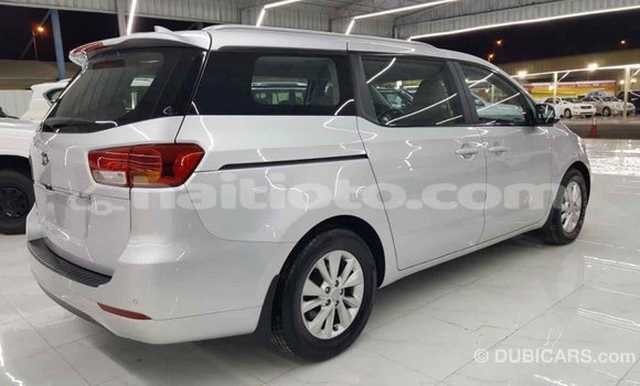 Acheter Import Voiture Kia Carnival Autre à Import - Dubai, Artibonite Acheter Import Voiture Kia Carnival Autre à Import - Dubai, Artibonite