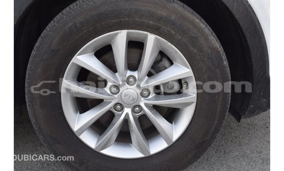 Acheter Import Voiture Kia Sorento Blanc à Import - Dubai, Artibonite