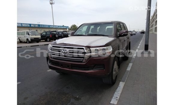 Acheter Import Voiture Toyota Land Cruiser Marron à Import - Dubai, Artibonite Acheter Import Voiture Toyota Land Cruiser Marron à Import - Dubai, Artibonite
