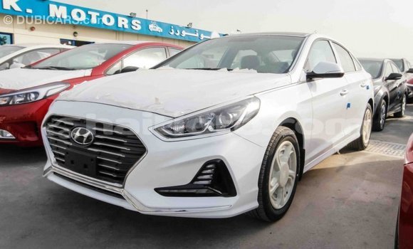 Acheter Import Voiture Hyundai Sonata Blanc à Import - Dubai, Artibonite Acheter Import Voiture Hyundai Sonata Blanc à Import - Dubai, Artibonite
