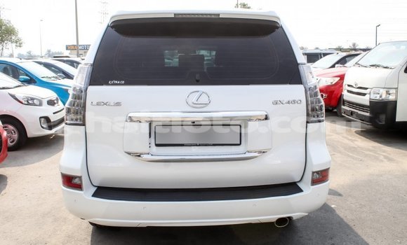 Acheter Import Voiture Lexus GX Blanc à Import - Dubai, Artibonite Acheter Import Voiture Lexus GX Blanc à Import - Dubai, Artibonite