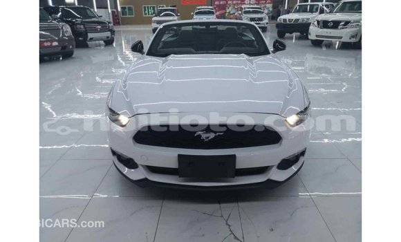Acheter Import Voiture Ford Mustang Blanc à Import - Dubai, Artibonite Acheter Import Voiture Ford Mustang Blanc à Import - Dubai, Artibonite