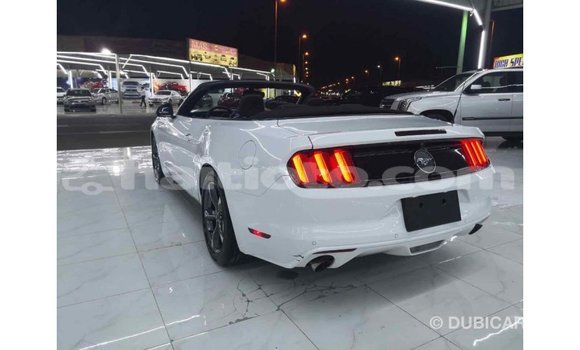 Acheter Import Voiture Ford Mustang Blanc à Import - Dubai, Artibonite Acheter Import Voiture Ford Mustang Blanc à Import - Dubai, Artibonite