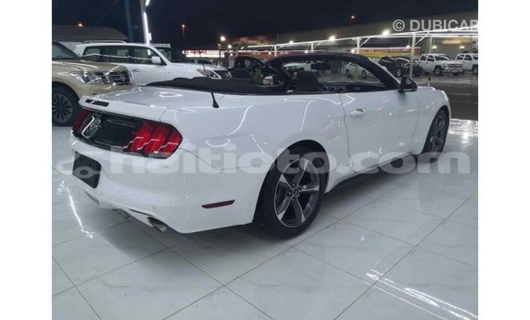 Acheter Import Voiture Ford Mustang Blanc à Import - Dubai, Artibonite