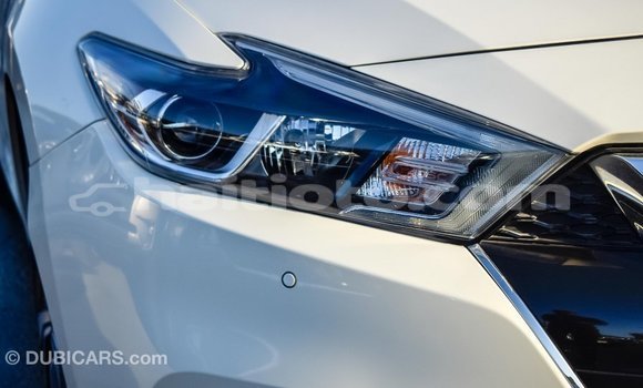 Acheter Import Voiture Nissan Maxima Blanc à Import - Dubai, Artibonite Acheter Import Voiture Nissan Maxima Blanc à Import - Dubai, Artibonite