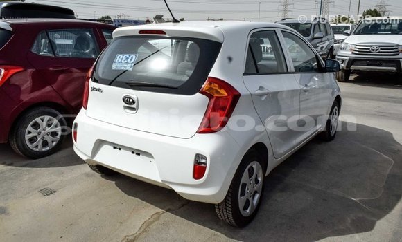 Acheter Import Voiture Kia Picanto Blanc à Import - Dubai, Artibonite Acheter Import Voiture Kia Picanto Blanc à Import - Dubai, Artibonite