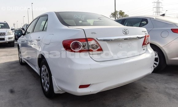 Acheter Import Voiture Toyota Corolla Blanc à Import - Dubai, Artibonite Acheter Import Voiture Toyota Corolla Blanc à Import - Dubai, Artibonite