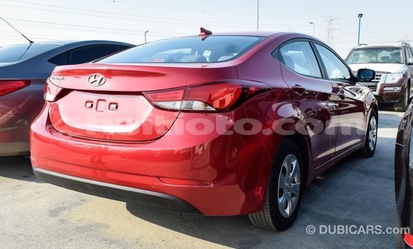 Acheter Import Voiture Hyundai Elantra Rouge à Import - Dubai, Artibonite Acheter Import Voiture Hyundai Elantra Rouge à Import - Dubai, Artibonite