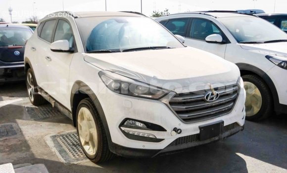 Acheter Import Voiture Hyundai Tucson Blanc à Import - Dubai, Artibonite Acheter Import Voiture Hyundai Tucson Blanc à Import - Dubai, Artibonite