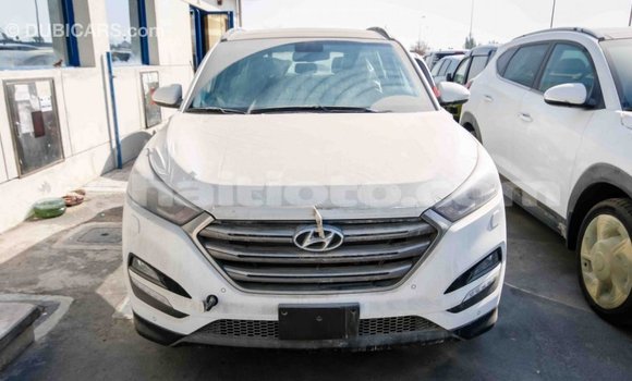 Acheter Import Voiture Hyundai Tucson Blanc à Import - Dubai, Artibonite Acheter Import Voiture Hyundai Tucson Blanc à Import - Dubai, Artibonite