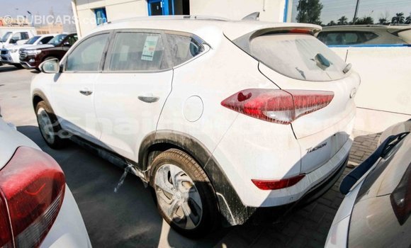 Acheter Import Voiture Hyundai Tucson Blanc à Import - Dubai, Artibonite Acheter Import Voiture Hyundai Tucson Blanc à Import - Dubai, Artibonite