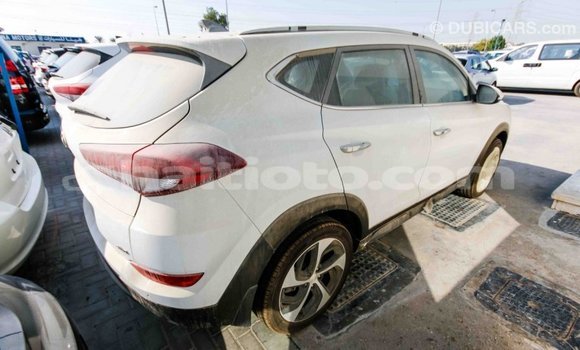 Acheter Import Voiture Hyundai Tucson Blanc à Import - Dubai, Artibonite Acheter Import Voiture Hyundai Tucson Blanc à Import - Dubai, Artibonite