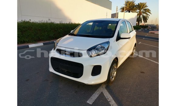 Acheter Import Voiture Kia Picanto Blanc à Import - Dubai, Artibonite Acheter Import Voiture Kia Picanto Blanc à Import - Dubai, Artibonite