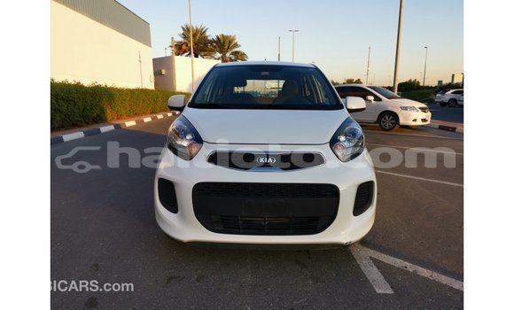Acheter Import Voiture Kia Picanto Blanc à Import - Dubai, Artibonite Acheter Import Voiture Kia Picanto Blanc à Import - Dubai, Artibonite