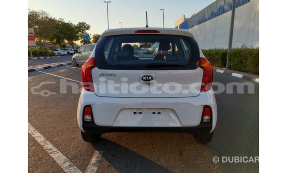 Acheter Import Voiture Kia Picanto Blanc à Import - Dubai, Artibonite Acheter Import Voiture Kia Picanto Blanc à Import - Dubai, Artibonite