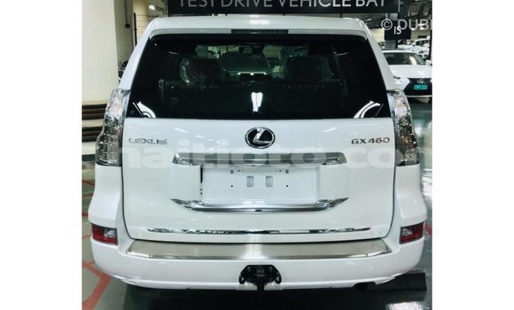 Acheter Import Voiture Lexus GX Blanc à Import - Dubai, Artibonite Acheter Import Voiture Lexus GX Blanc à Import - Dubai, Artibonite