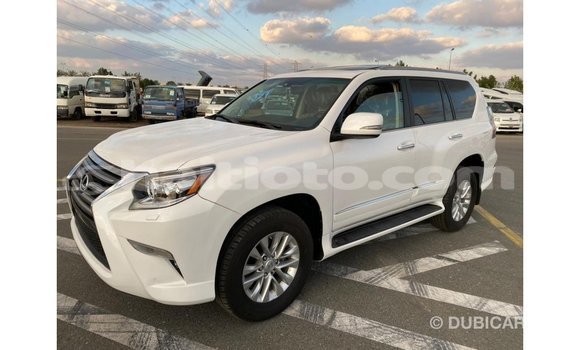 Acheter Import Voiture Lexus GX Blanc à Import - Dubai, Artibonite Acheter Import Voiture Lexus GX Blanc à Import - Dubai, Artibonite