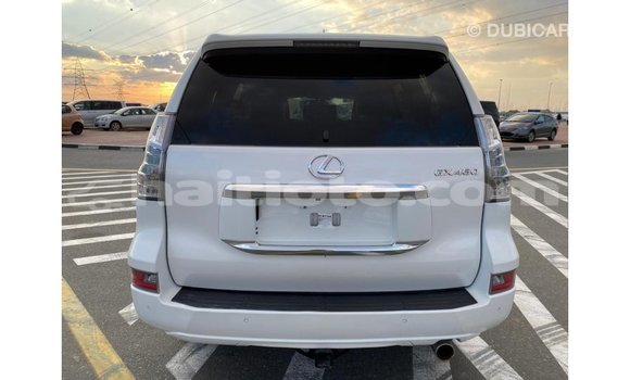 Acheter Import Voiture Lexus GX Blanc à Import - Dubai, Artibonite Acheter Import Voiture Lexus GX Blanc à Import - Dubai, Artibonite