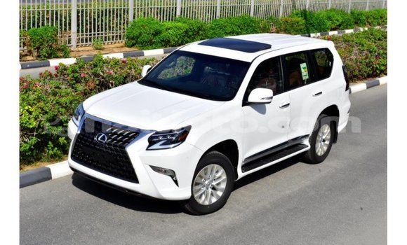Acheter Import Voiture Lexus GX Blanc à Import - Dubai, Artibonite Acheter Import Voiture Lexus GX Blanc à Import - Dubai, Artibonite