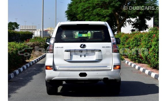 Acheter Import Voiture Lexus GX Blanc à Import - Dubai, Artibonite Acheter Import Voiture Lexus GX Blanc à Import - Dubai, Artibonite