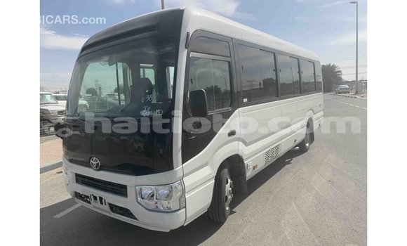 Buy Import Toyota Coaster White Car in Import - Dubai in Artibonite Buy Import Toyota Coaster White Car in Import - Dubai in Artibonite
