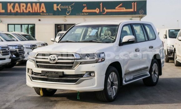 Acheter Import Voiture Toyota Land Cruiser Blanc à Import - Dubai, Artibonite Acheter Import Voiture Toyota Land Cruiser Blanc à Import - Dubai, Artibonite