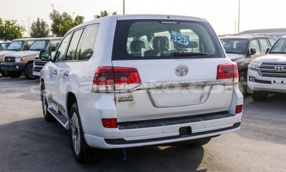 Acheter Import Voiture Toyota Land Cruiser Blanc à Import - Dubai, Artibonite Acheter Import Voiture Toyota Land Cruiser Blanc à Import - Dubai, Artibonite