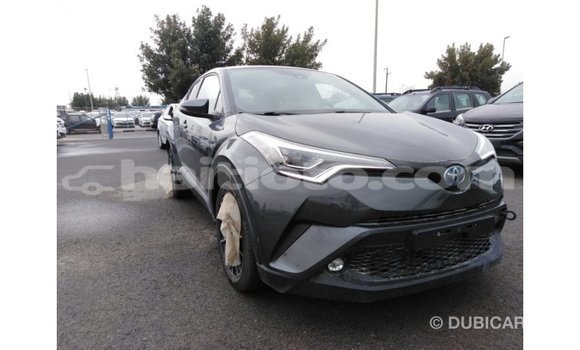 Acheter Import Voiture Toyota C-HR Autre à Import - Dubai, Artibonite Acheter Import Voiture Toyota C-HR Autre à Import - Dubai, Artibonite