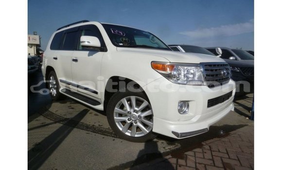 Acheter Import Voiture Toyota Land Cruiser Blanc à Import - Dubai, Artibonite Acheter Import Voiture Toyota Land Cruiser Blanc à Import - Dubai, Artibonite