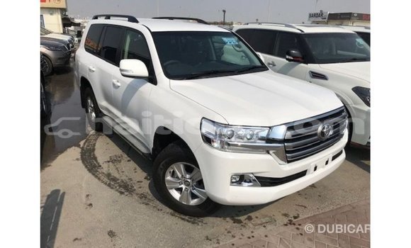 Acheter Import Voiture Toyota Land Cruiser Blanc à Import - Dubai, Artibonite Acheter Import Voiture Toyota Land Cruiser Blanc à Import - Dubai, Artibonite