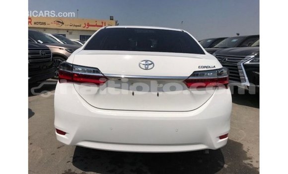 Acheter Import Voiture Toyota Corolla Blanc à Import - Dubai, Artibonite Acheter Import Voiture Toyota Corolla Blanc à Import - Dubai, Artibonite