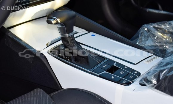 Acheter Import Voiture Kia Cadenza Autre à Import - Dubai, Artibonite Acheter Import Voiture Kia Cadenza Autre à Import - Dubai, Artibonite