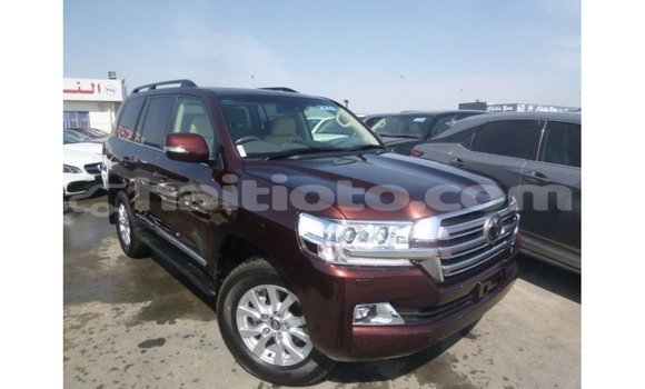 Acheter Import Voiture Toyota Land Cruiser Marron à Import - Dubai, Artibonite Acheter Import Voiture Toyota Land Cruiser Marron à Import - Dubai, Artibonite