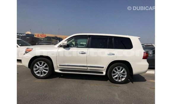 Acheter Import Voiture Toyota Land Cruiser Blanc à Import - Dubai, Artibonite Acheter Import Voiture Toyota Land Cruiser Blanc à Import - Dubai, Artibonite