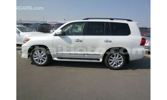 Acheter Import Voiture Toyota Land Cruiser Blanc à Import - Dubai, Artibonite Acheter Import Voiture Toyota Land Cruiser Blanc à Import - Dubai, Artibonite