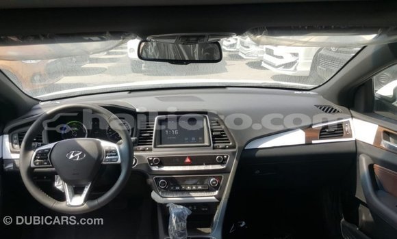 Acheter Import Voiture Hyundai Sonata Blanc à Import - Dubai, Artibonite Acheter Import Voiture Hyundai Sonata Blanc à Import - Dubai, Artibonite