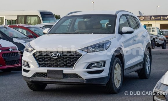 Acheter Import Voiture Hyundai Tucson Blanc à Import - Dubai, Artibonite Acheter Import Voiture Hyundai Tucson Blanc à Import - Dubai, Artibonite
