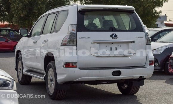 Acheter Import Voiture Lexus GX Blanc à Import - Dubai, Artibonite Acheter Import Voiture Lexus GX Blanc à Import - Dubai, Artibonite
