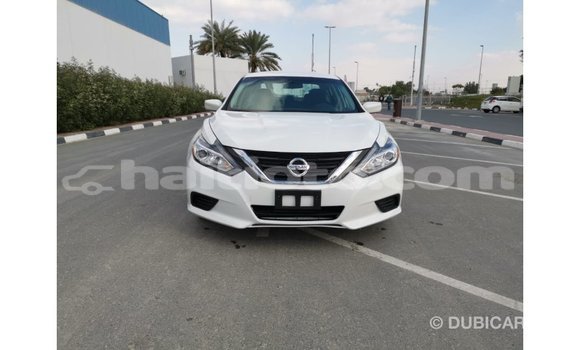Acheter Import Voiture Nissan Altima Blanc à Import - Dubai, Artibonite Acheter Import Voiture Nissan Altima Blanc à Import - Dubai, Artibonite