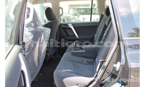 Buy Import Toyota Hilux Black Car in Import - Dubai in Artibonite Buy Import Toyota Hilux Black Car in Import - Dubai in Artibonite