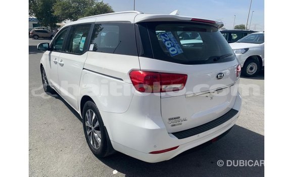 Acheter Import Voiture Kia Carnival Blanc à Import - Dubai, Artibonite Acheter Import Voiture Kia Carnival Blanc à Import - Dubai, Artibonite
