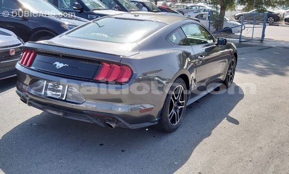 Acheter Import Voiture Ford Mustang Autre à Import - Dubai, Artibonite Acheter Import Voiture Ford Mustang Autre à Import - Dubai, Artibonite