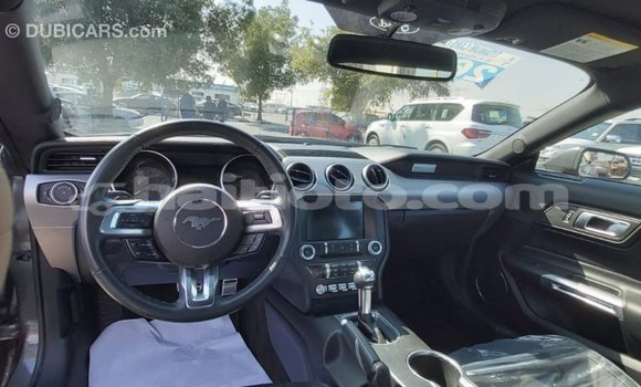 Acheter Import Voiture Ford Mustang Autre à Import - Dubai, Artibonite Acheter Import Voiture Ford Mustang Autre à Import - Dubai, Artibonite