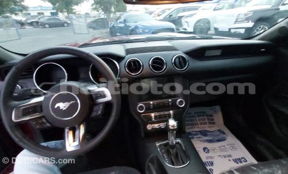 Acheter Import Voiture Ford Mustang Rouge à Import - Dubai, Artibonite Acheter Import Voiture Ford Mustang Rouge à Import - Dubai, Artibonite