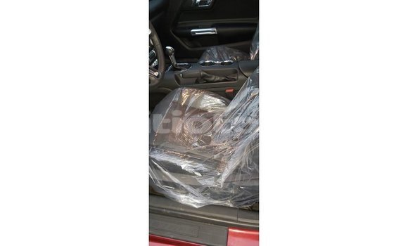 Acheter Import Voiture Ford Mustang Rouge à Import - Dubai, Artibonite Acheter Import Voiture Ford Mustang Rouge à Import - Dubai, Artibonite