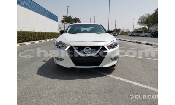 Acheter Import Voiture Nissan Maxima Blanc à Import - Dubai, Artibonite Acheter Import Voiture Nissan Maxima Blanc à Import - Dubai, Artibonite