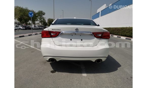 Acheter Import Voiture Nissan Maxima Blanc à Import - Dubai, Artibonite Acheter Import Voiture Nissan Maxima Blanc à Import - Dubai, Artibonite